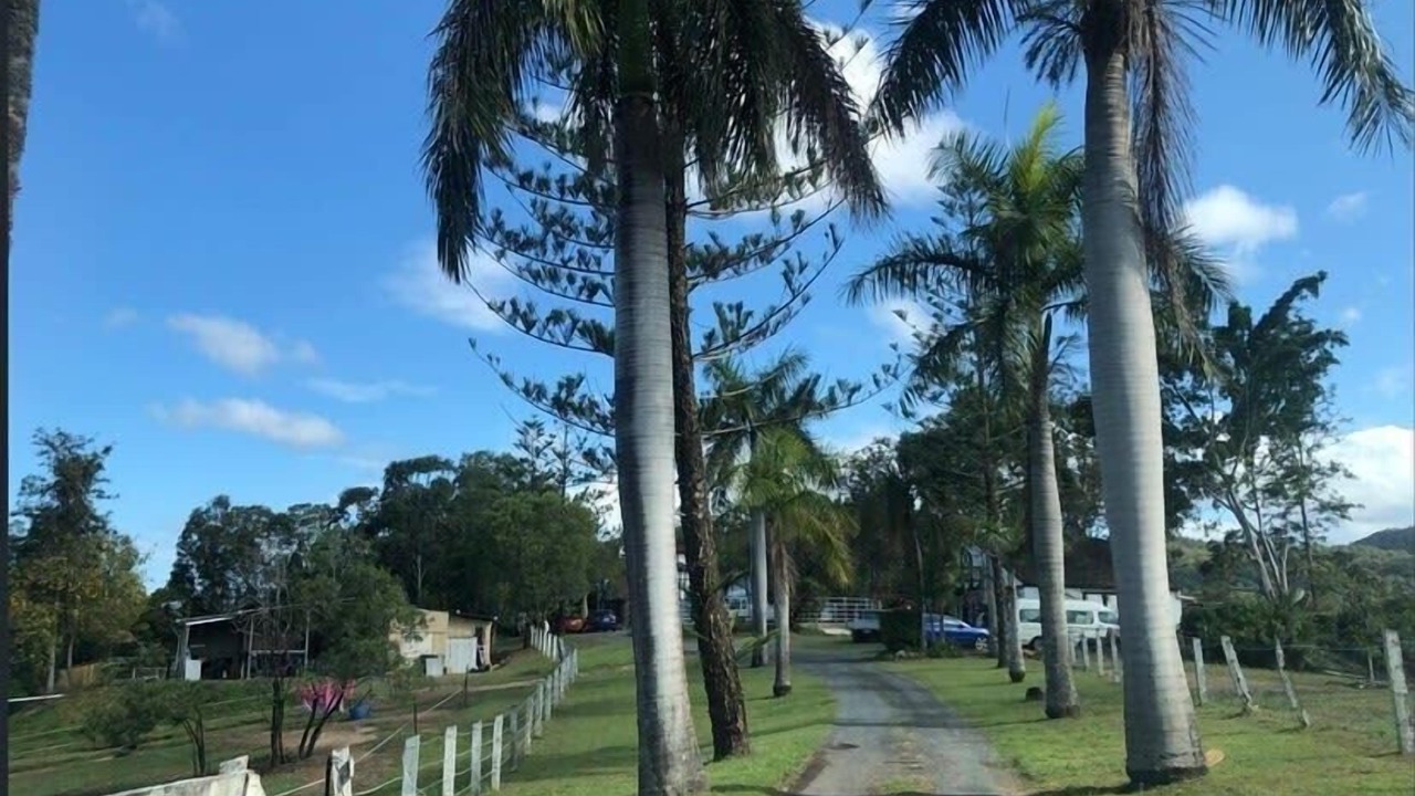 Photo of Outdoor in Upper Coomera