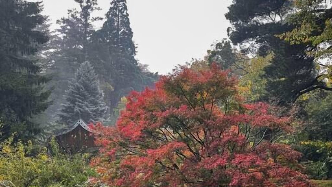 Photo of Others in Mount Macedon