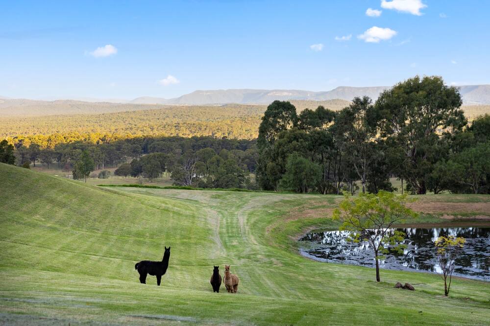 Photo of Others in Mount View