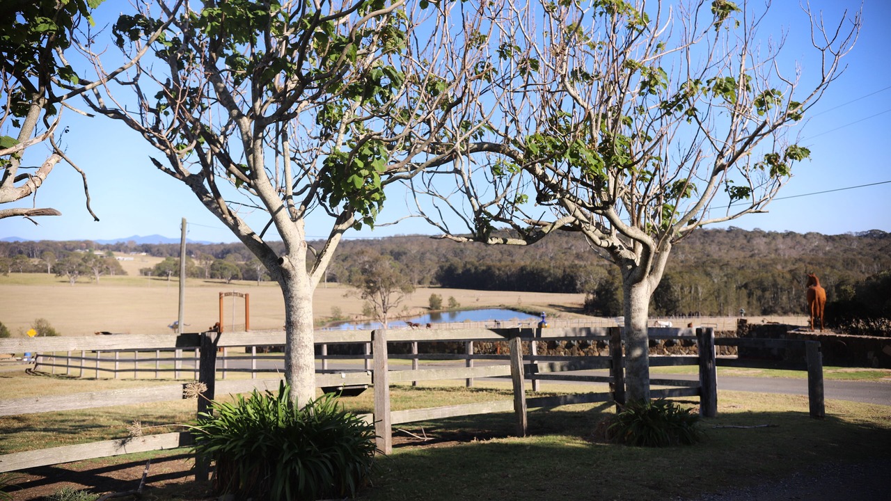 Photo of Outdoor in Meringo
