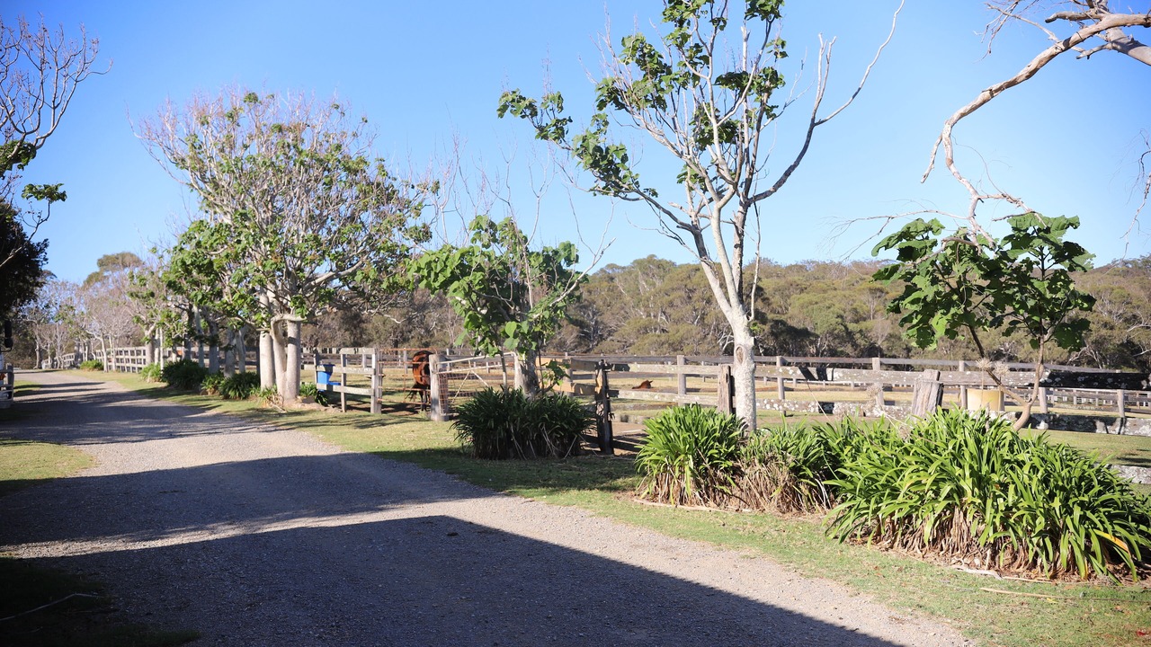 Photo of Outdoor in Meringo