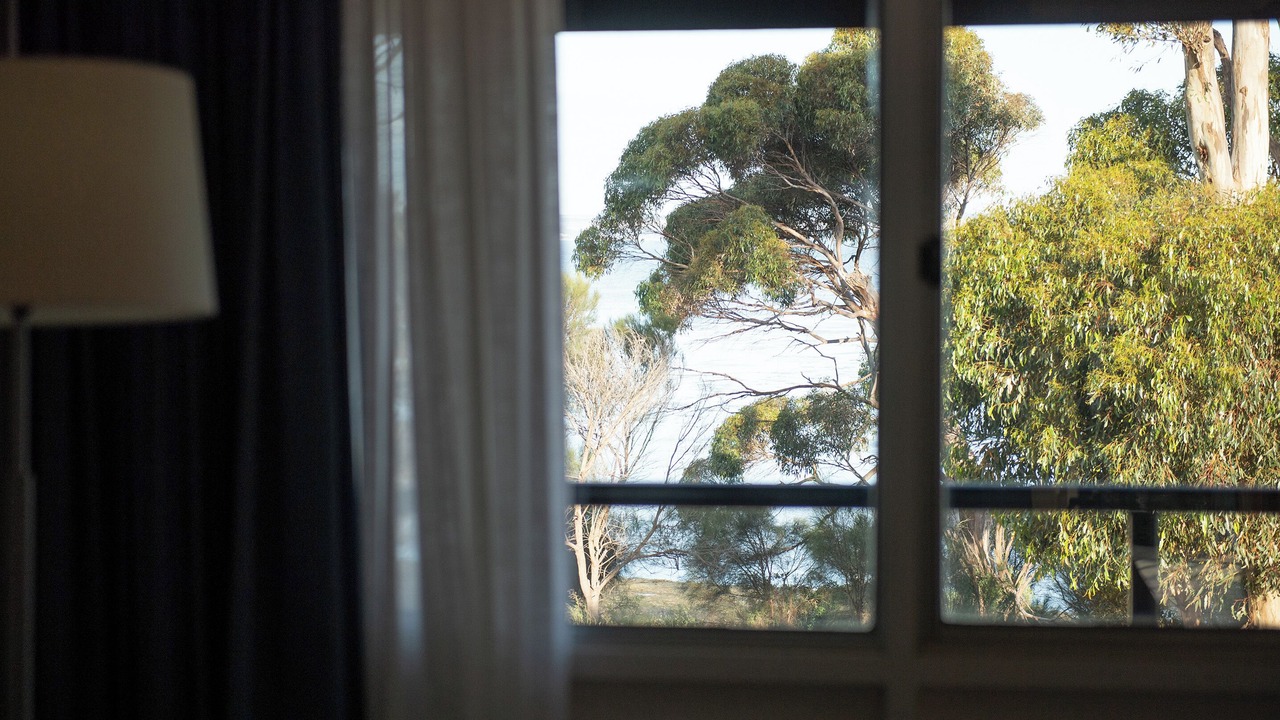 Photo of Bedroom in American River