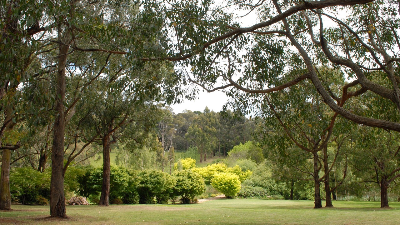 Photo of Outdoor in Red Hill