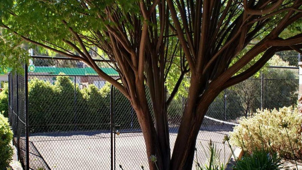 Photo of Outdoor in Bridgetown