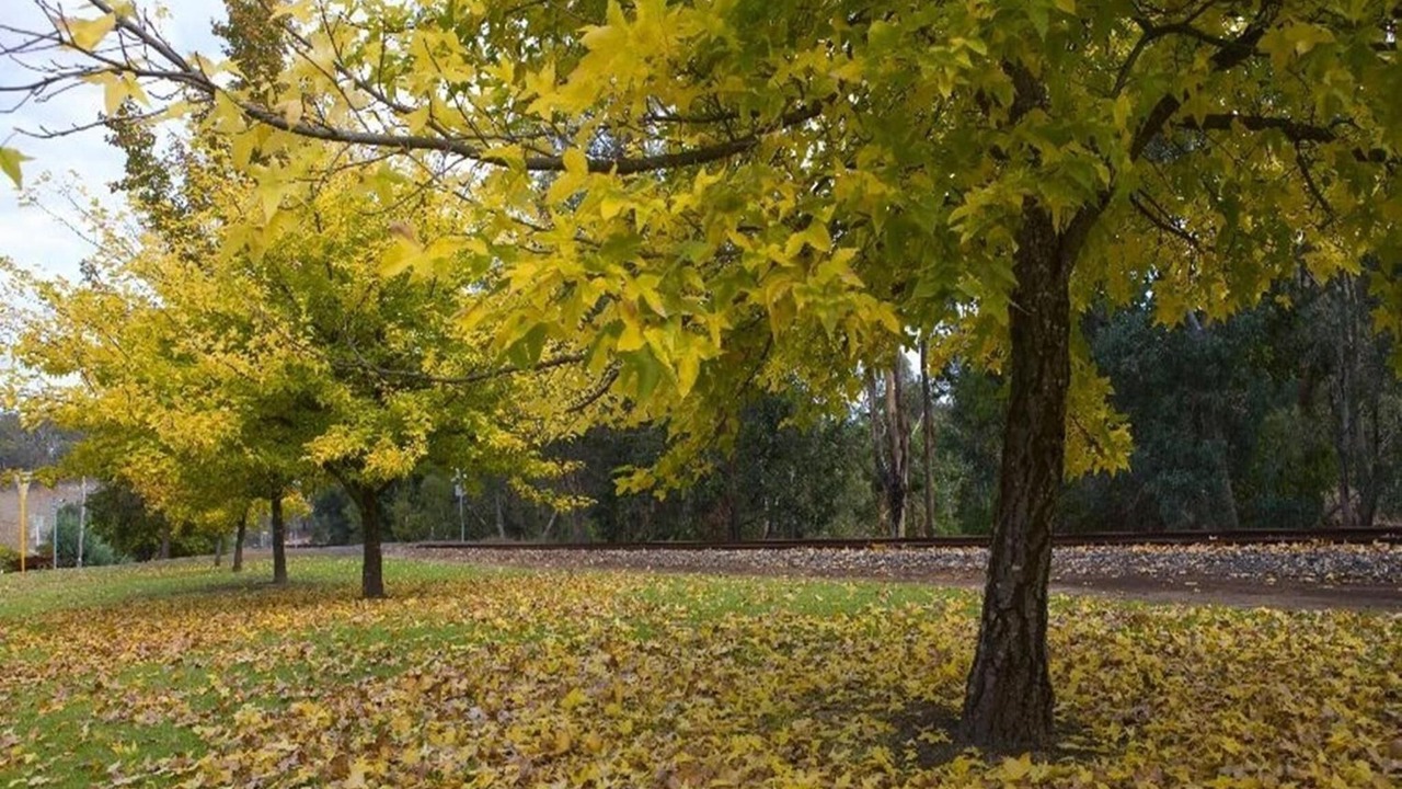 Photo of Outdoor in Bridgetown