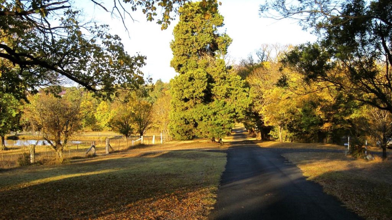 Photo of Outdoor in Armidale