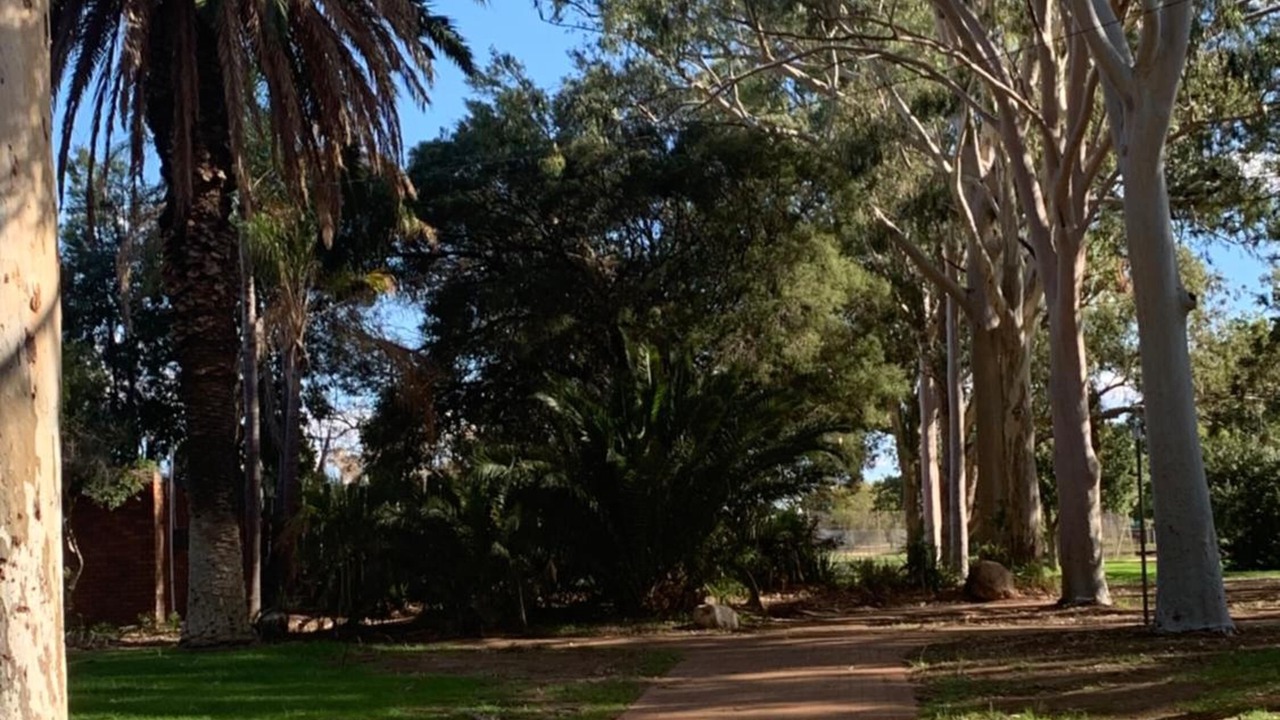 Photo of Outdoor in Gilgandra
