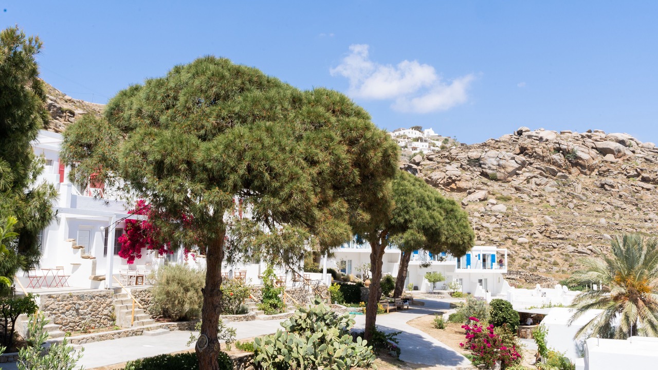 Photo of Outdoor in Tourlos