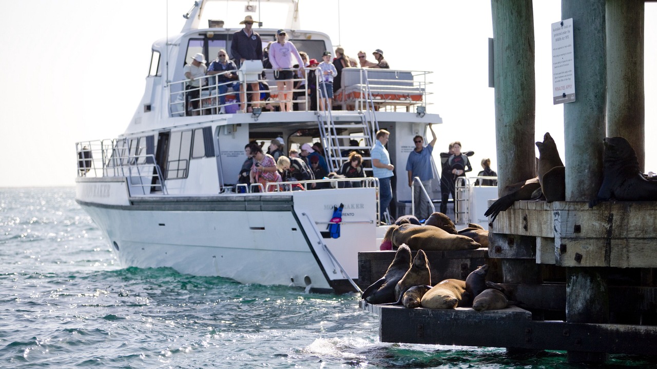 Photo of Others in Portsea