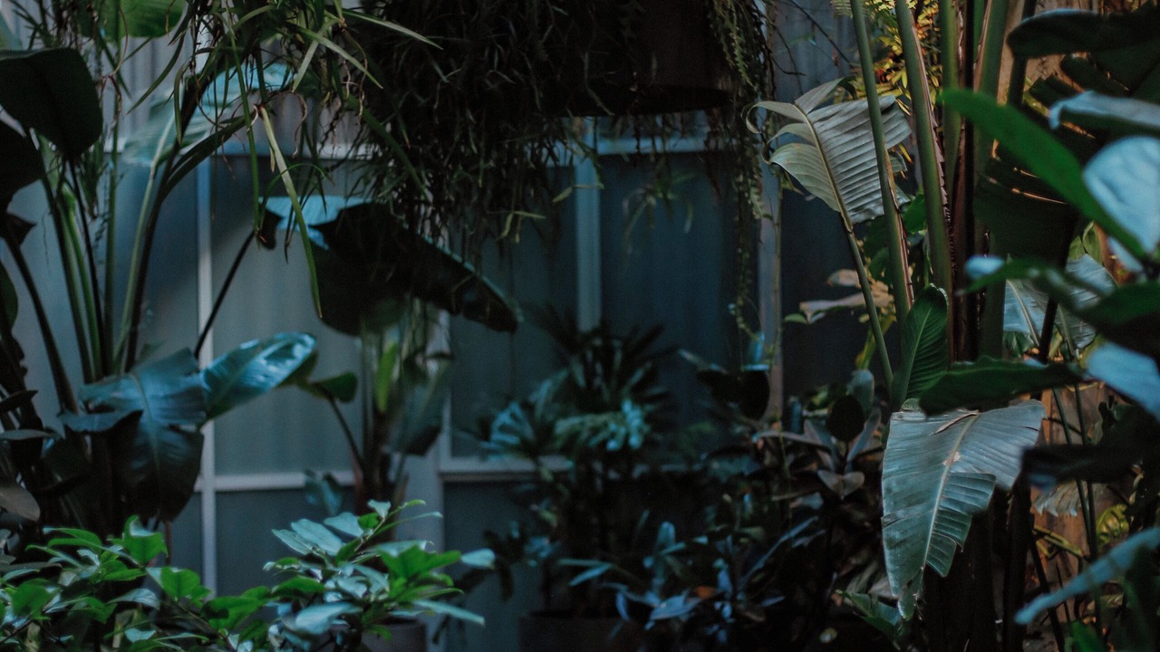 Photo of Outdoor in Newtown