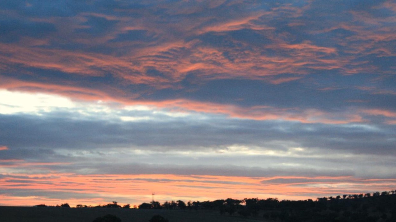 Photo of Outdoor in Scone