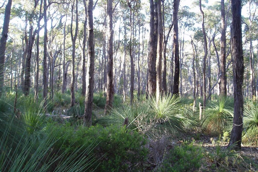 Photo of Others in Cowaramup