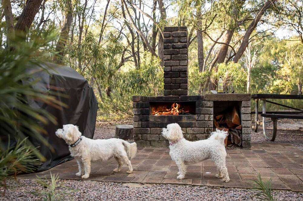 Photo of Outdoor in Cowaramup