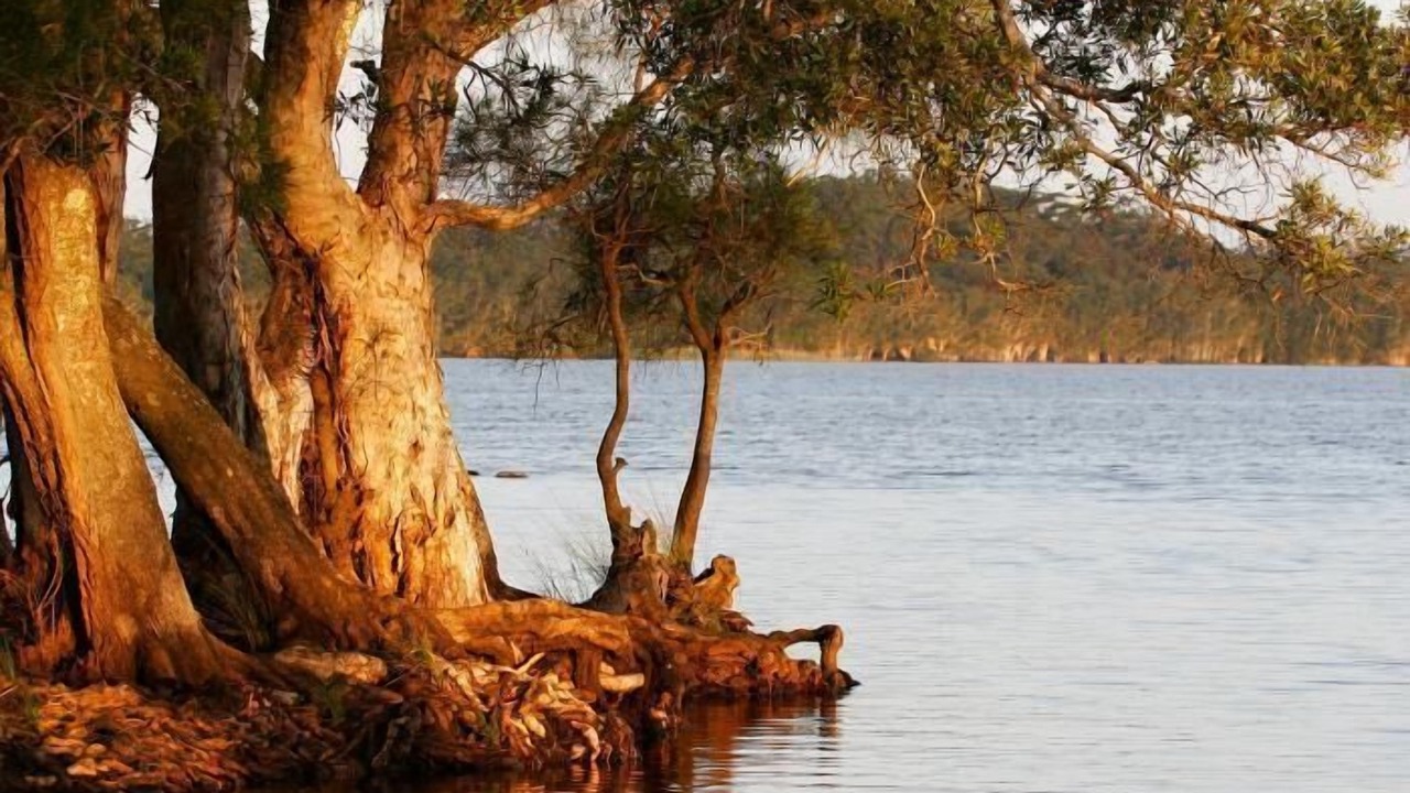 Photo of Outdoor in Bombah Point