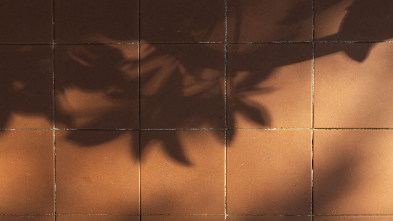 Photo of Outdoor in Randwick
