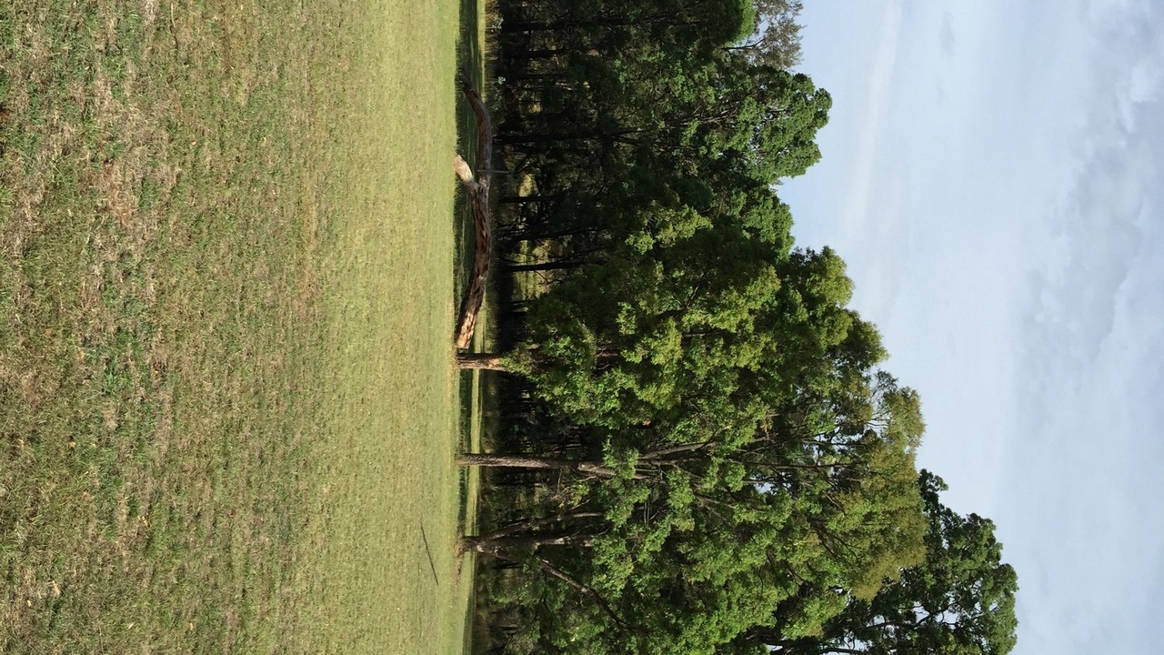 Photo of Others in Coonabarabran