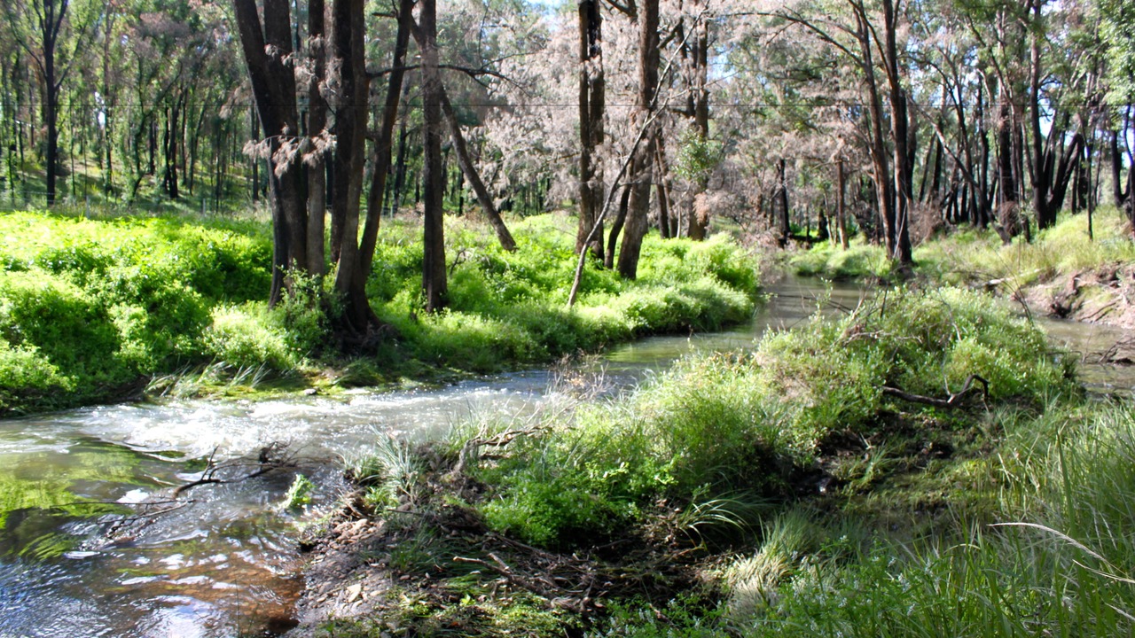 Photo of Others in Coonabarabran
