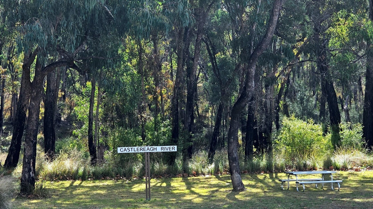 Photo of Others in Coonabarabran