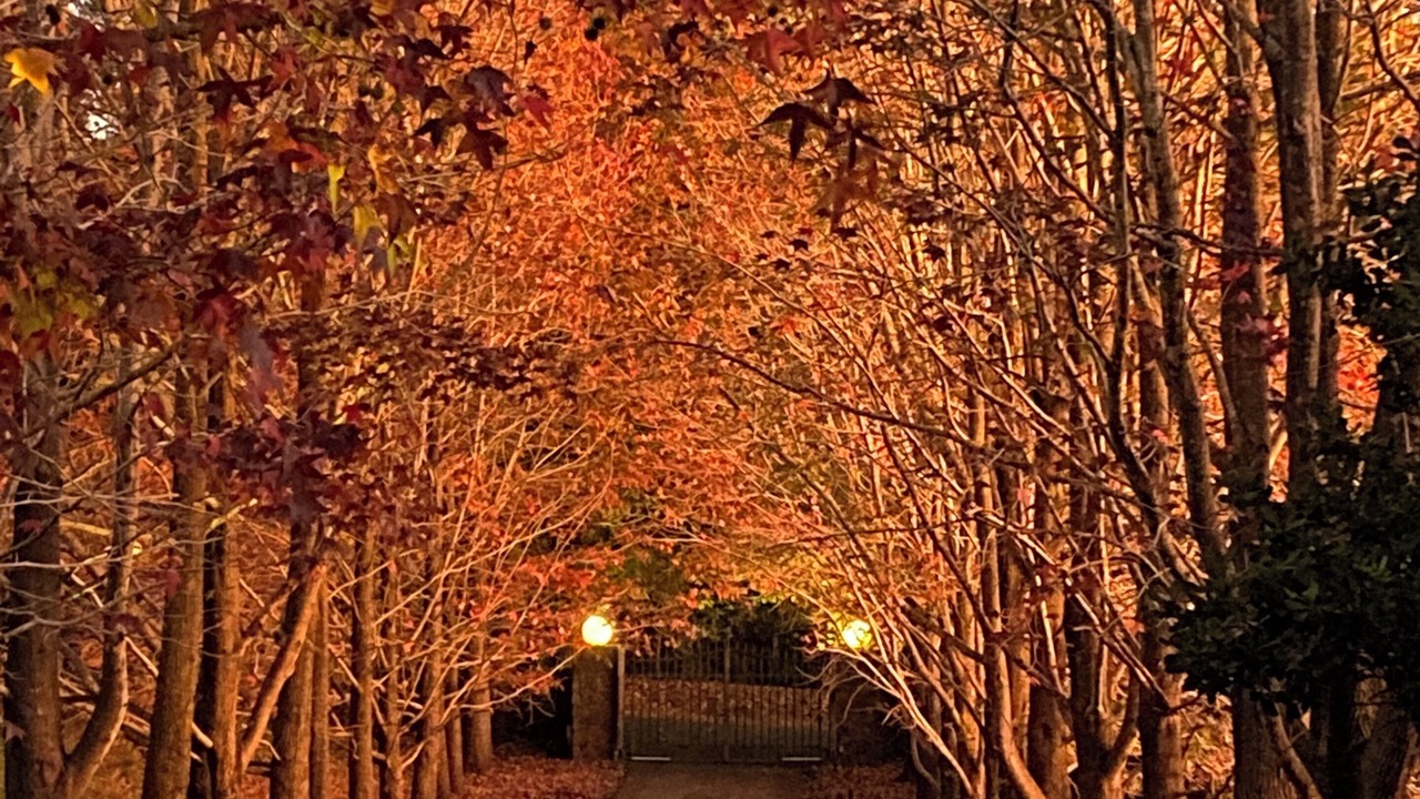 Photo of Outdoor in Ewingsdale