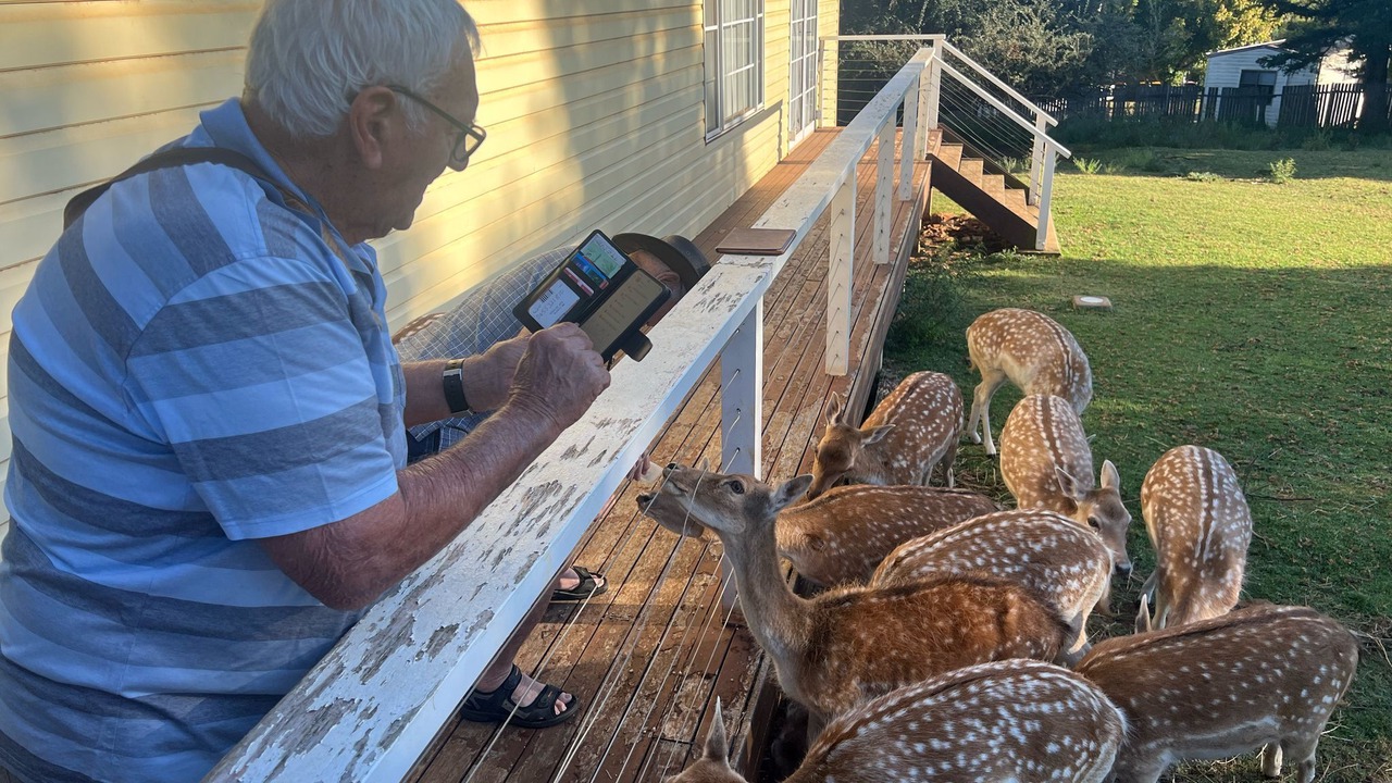 Photo of Others in Armidale