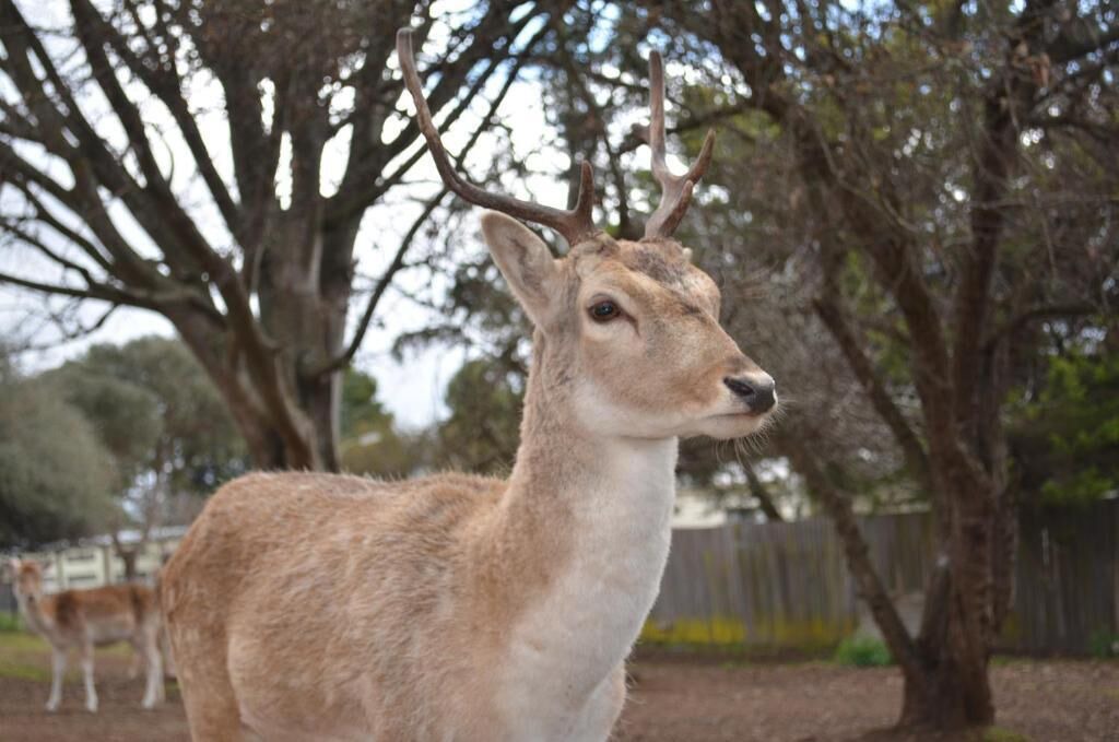 Photo of Others in Armidale