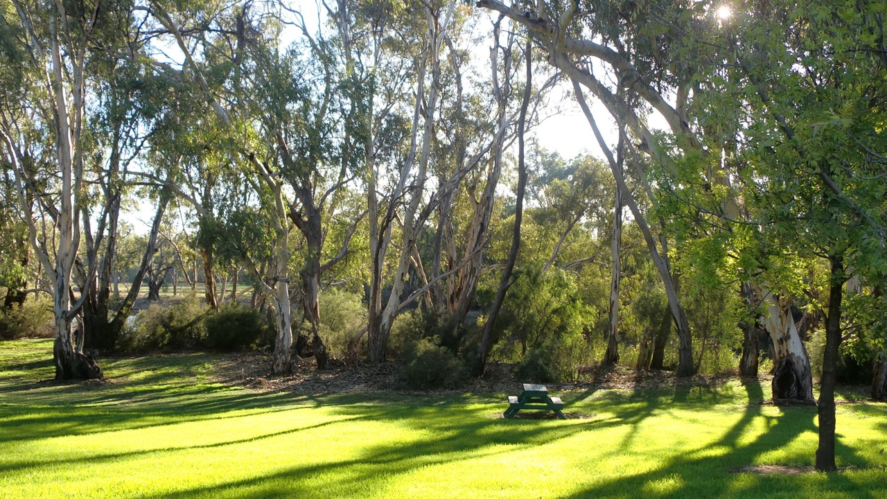 Photo of Outdoor in Tooleybuc