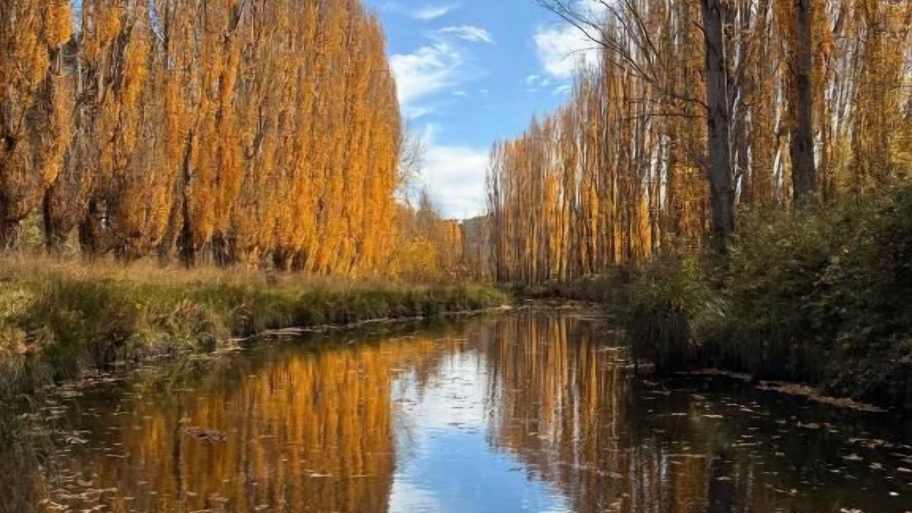 Photo of Others in Jindabyne