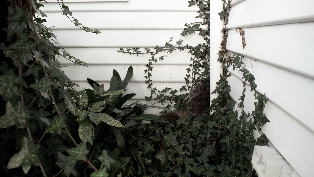 Photo of Outdoor in Huonville