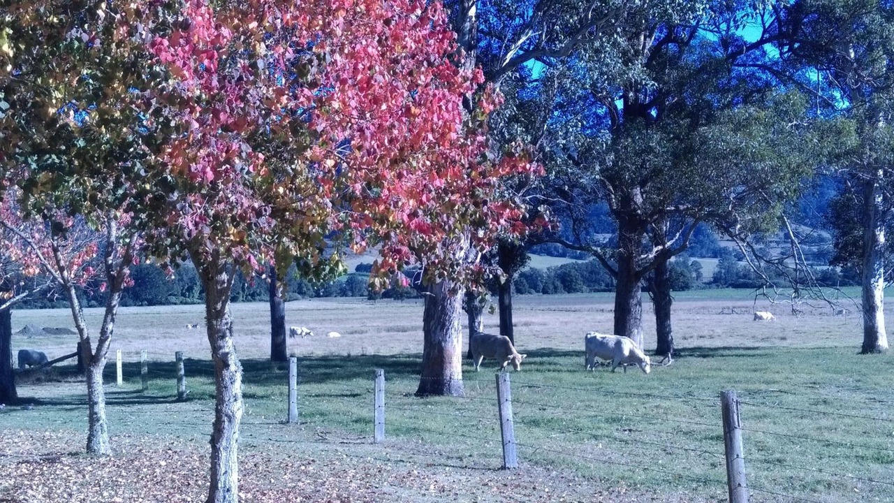 Photo of Outdoor in Gloucester