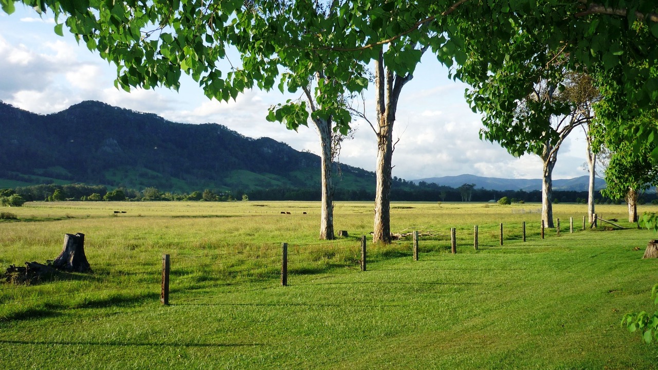 Photo of Outdoor in Gloucester
