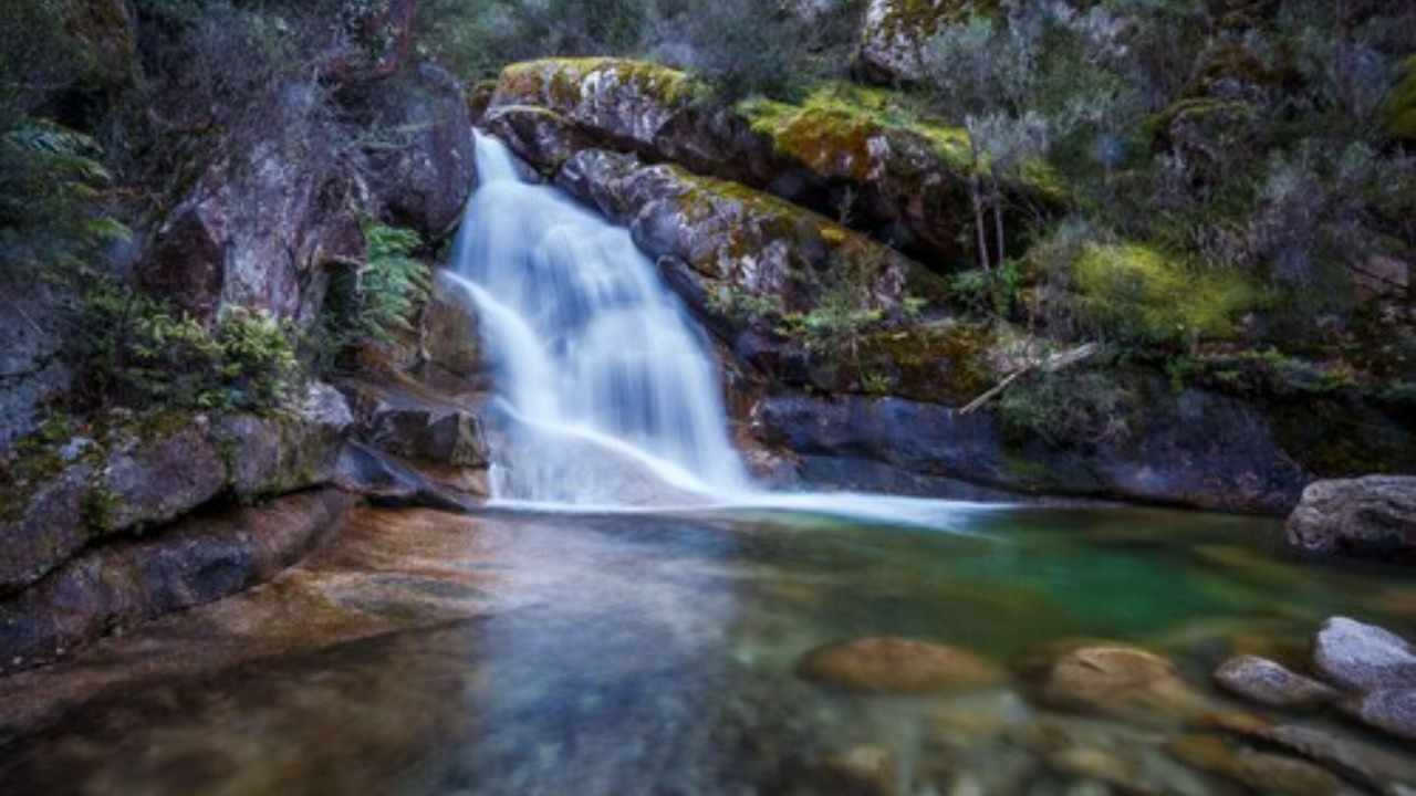 Photo of Others in Porepunkah