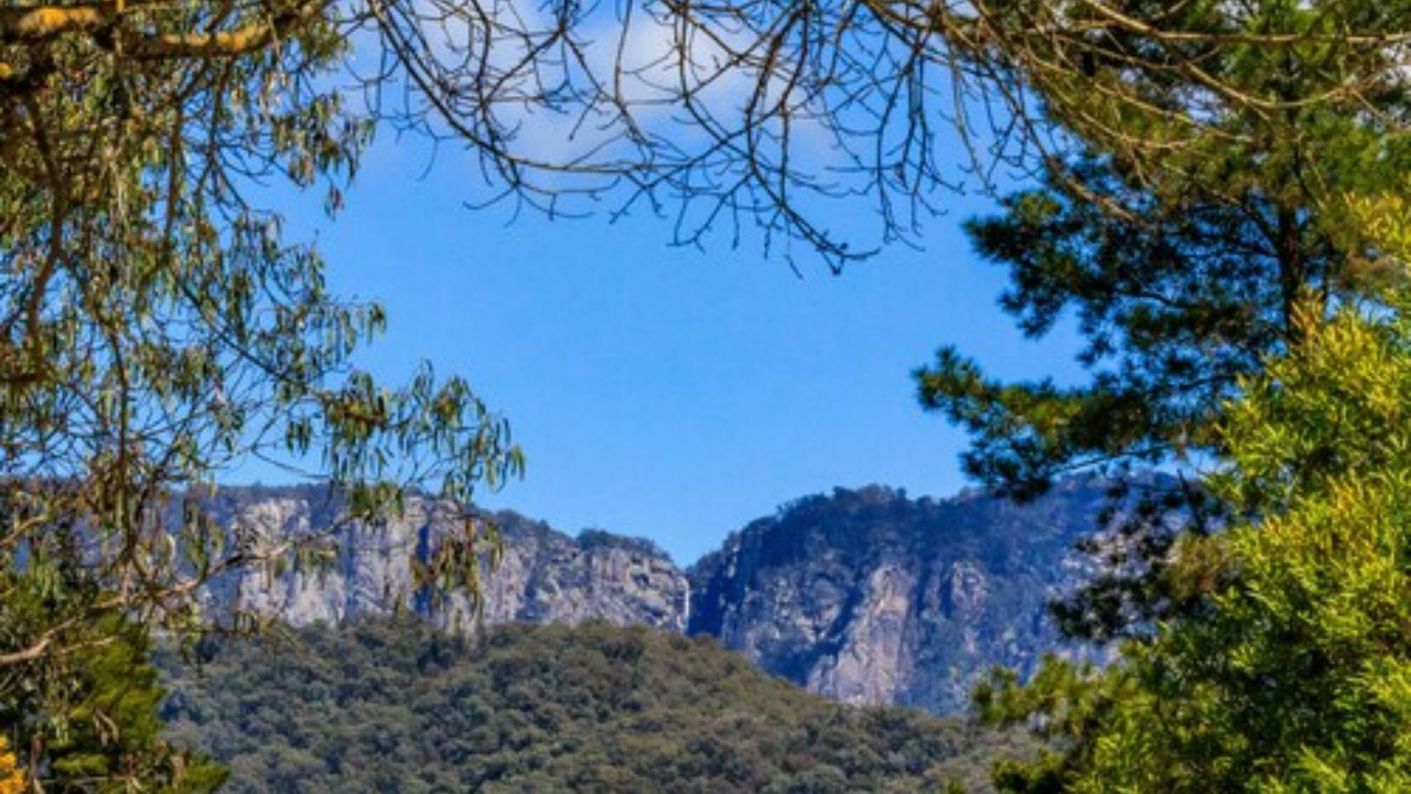 Photo of Others in Porepunkah