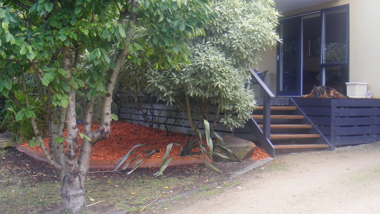 Photo of Others in Rye