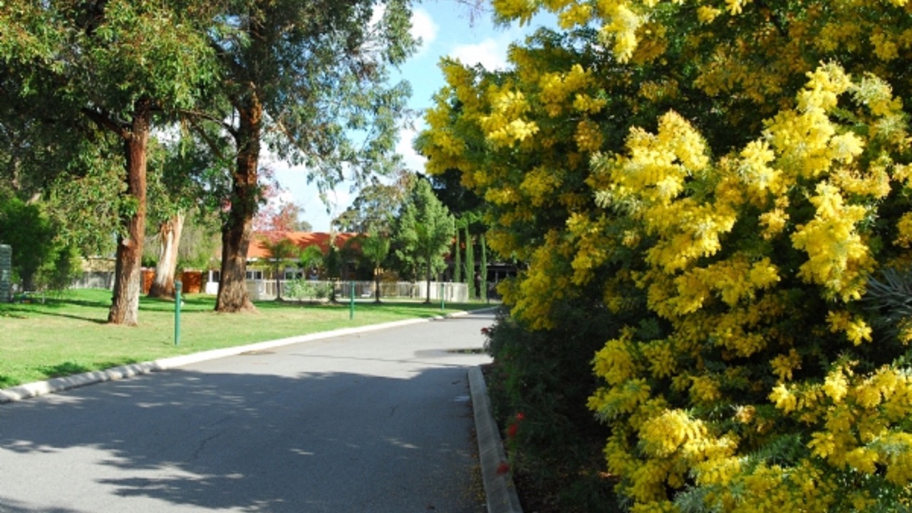 Photo of Others in Wattle Grove