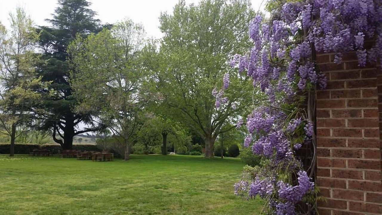 Photo of Outdoor in Armidale