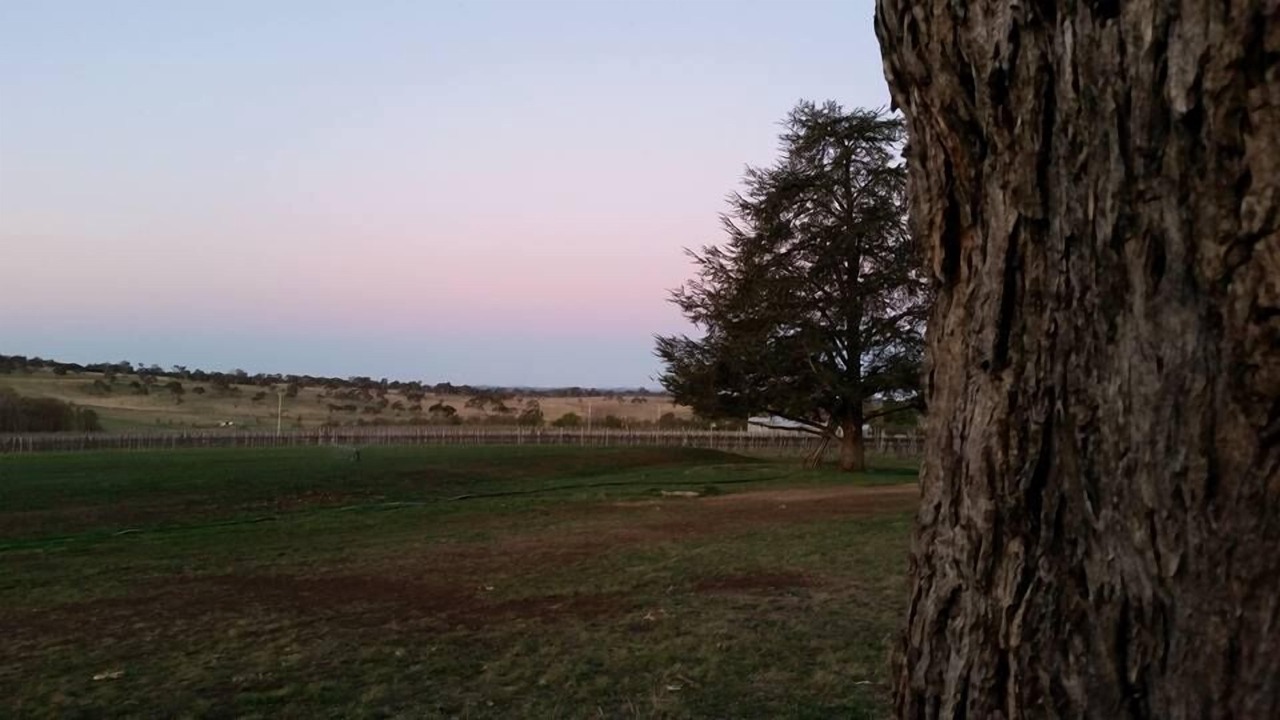 Photo of Outdoor in Armidale