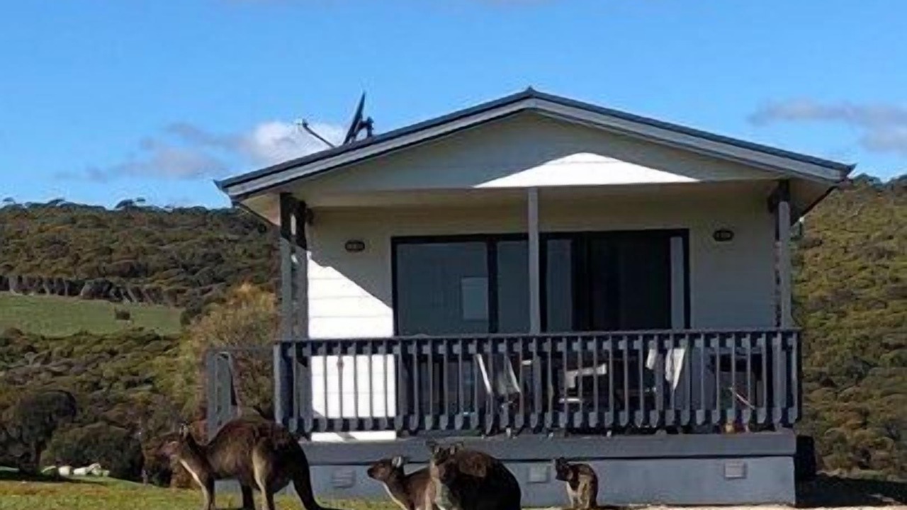 Photo of Outdoor in Duncan
