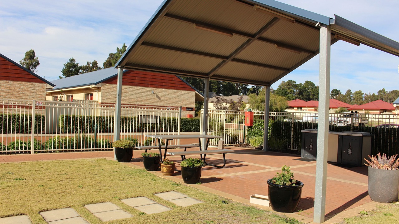 Photo of Others in Collie