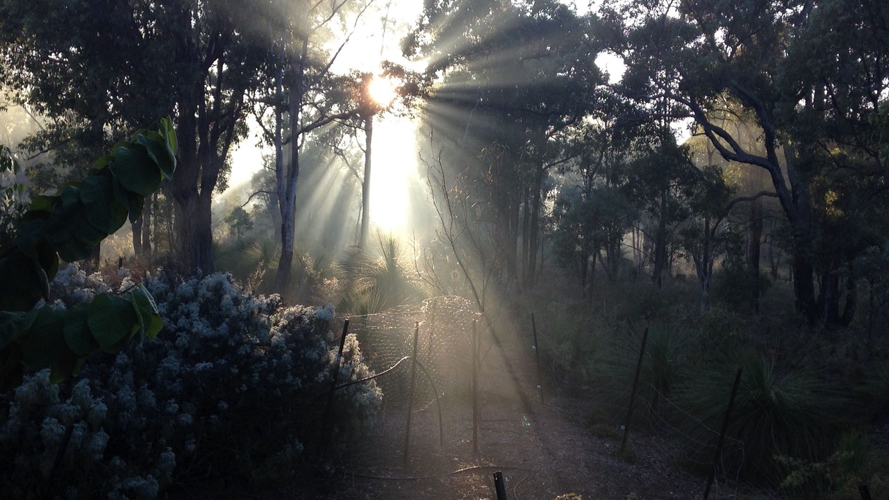 Photo of Outdoor in Stoneville