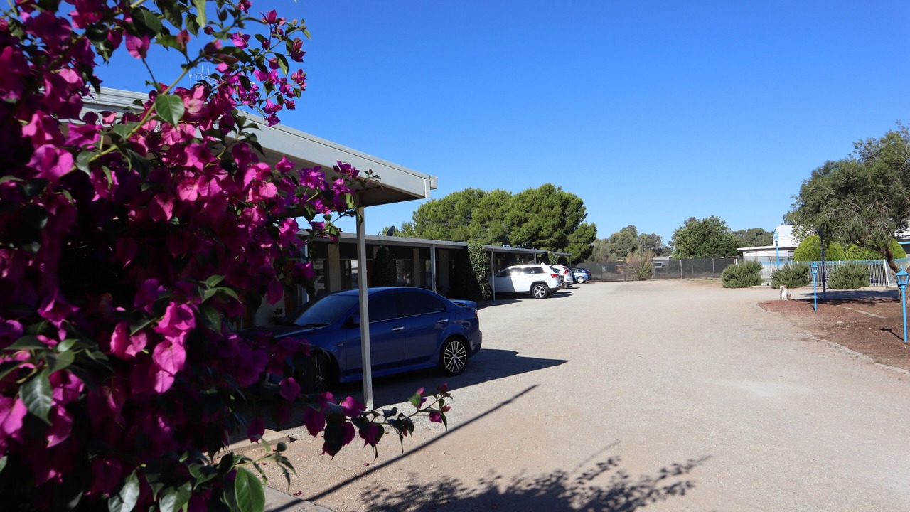 Photo of Others in Balranald
