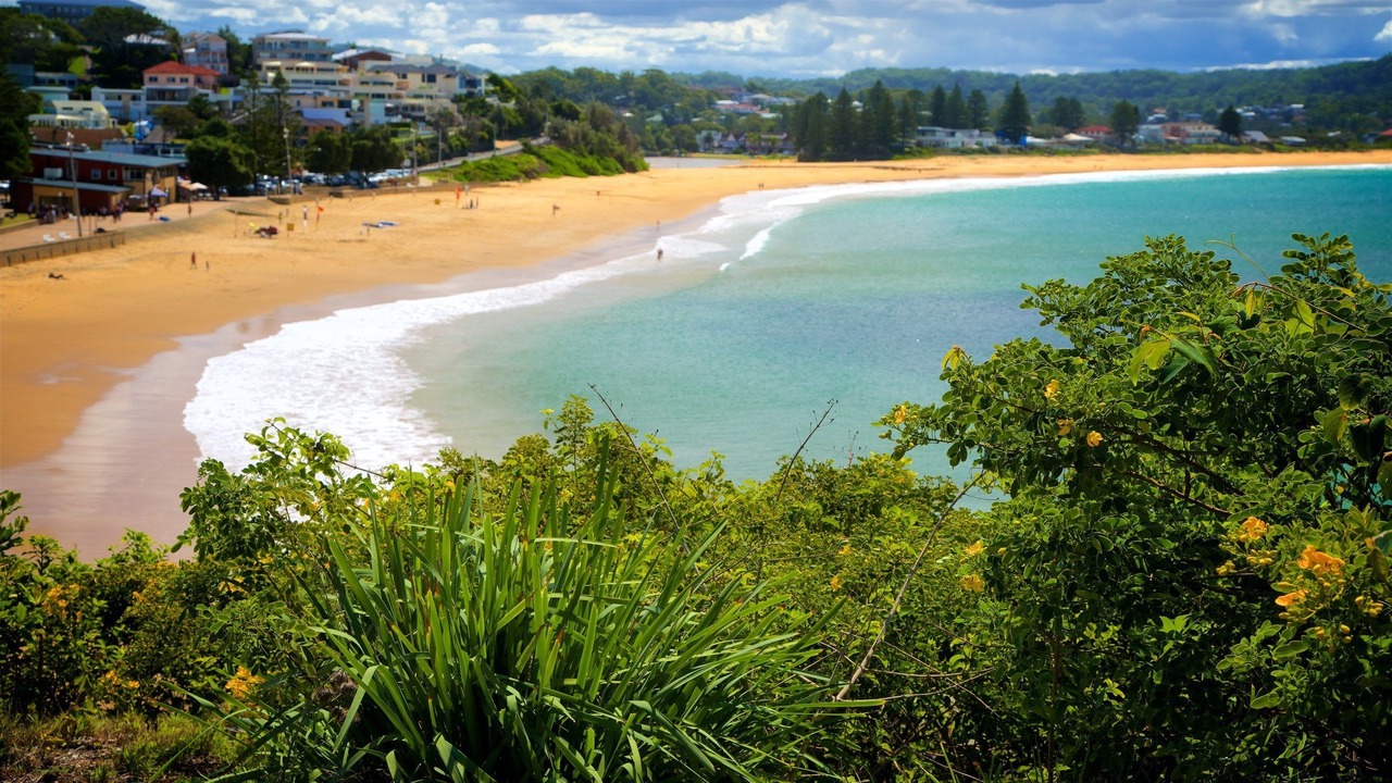 Photo of Others in West Gosford