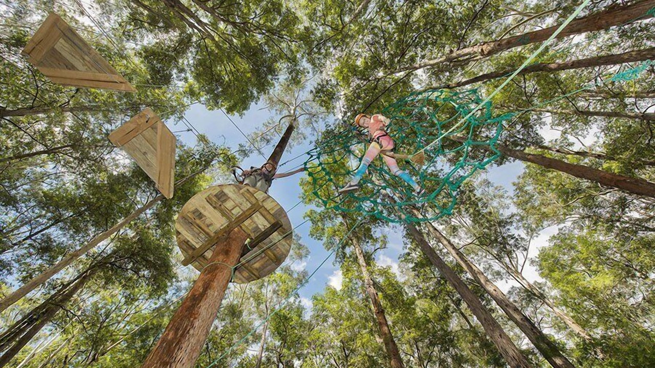 Photo of Others in West Gosford