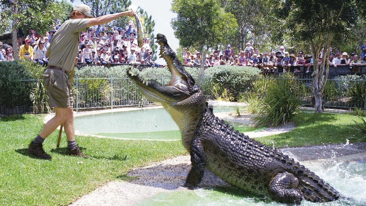 Photo of Others in West Gosford