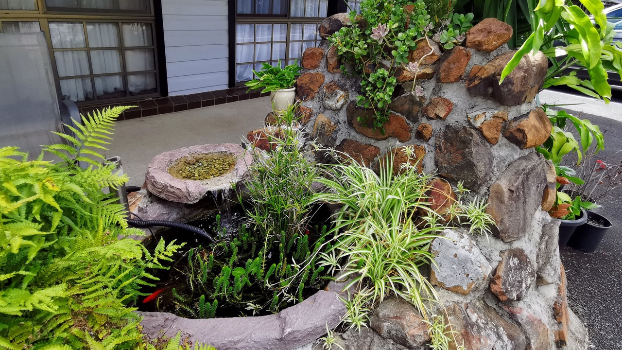 Photo of Outdoor in Taree