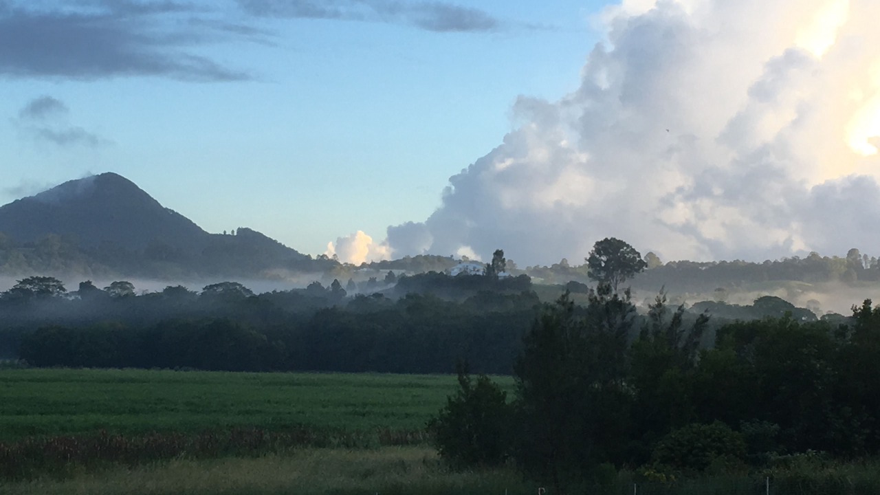 Photo of Others in Eumundi