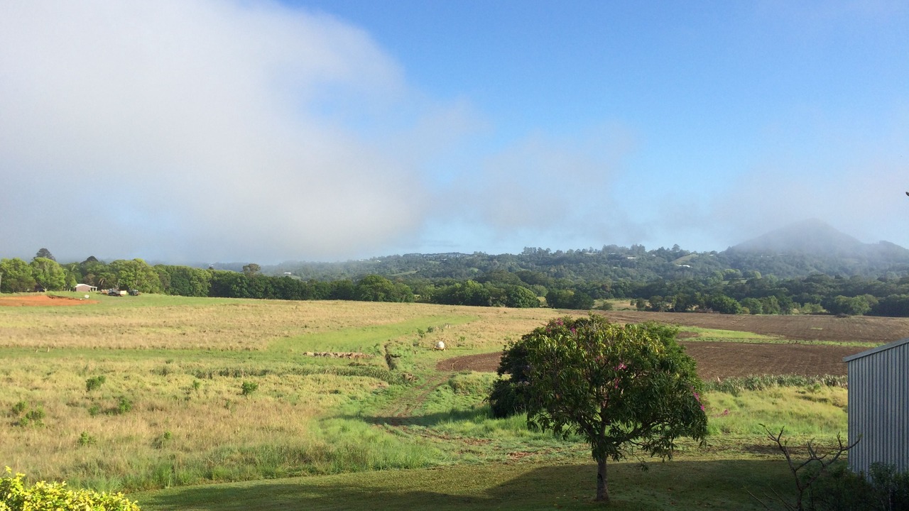 Photo of Others in Eumundi