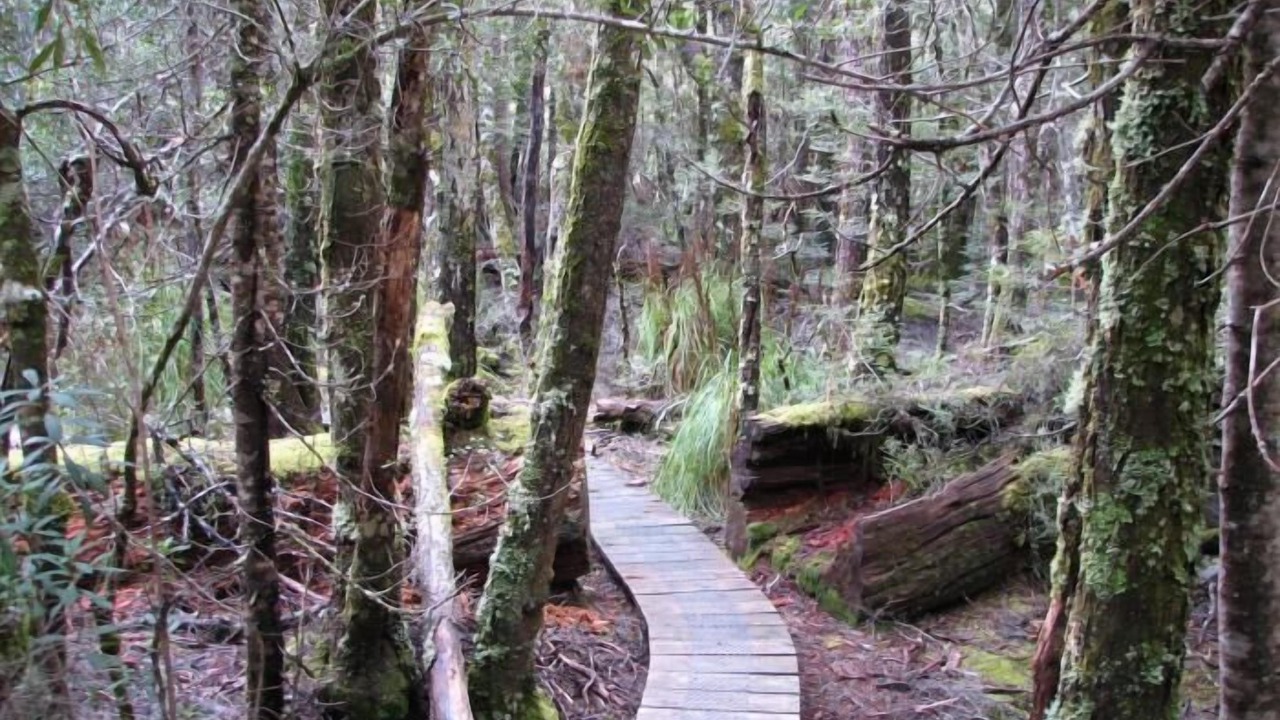 Photo of Outdoor in Derwent Bridge