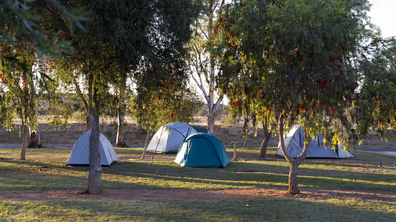 Photo of Outdoor in Ross