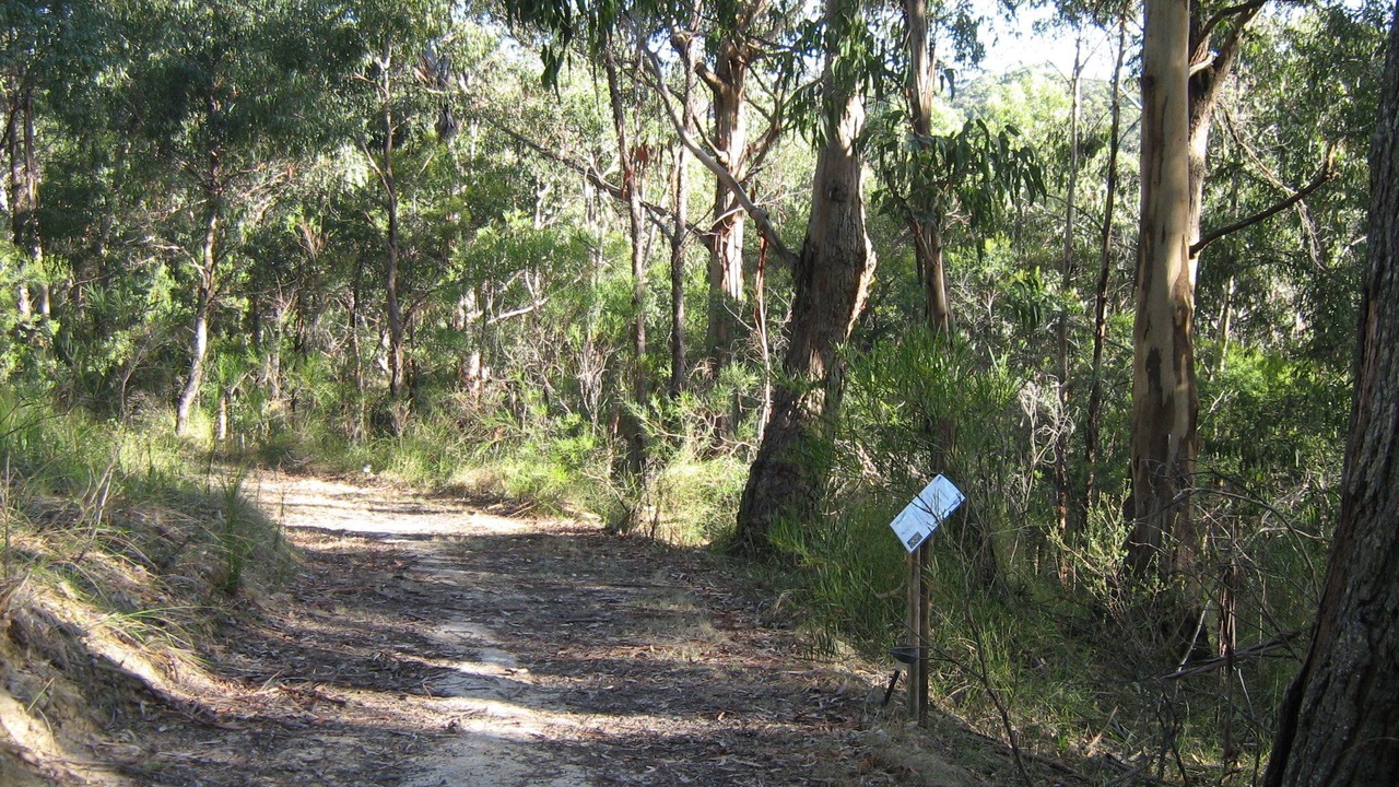 Photo of Outdoor in Lorne