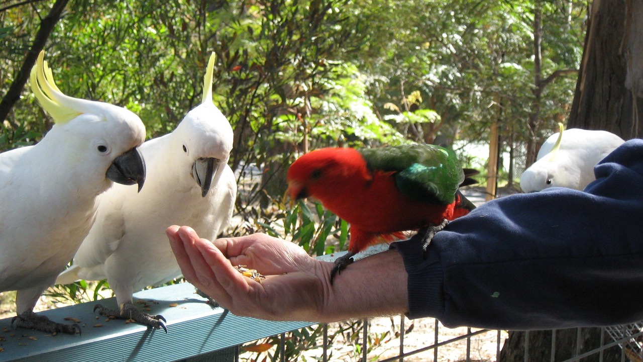 Photo of Outdoor in Lorne